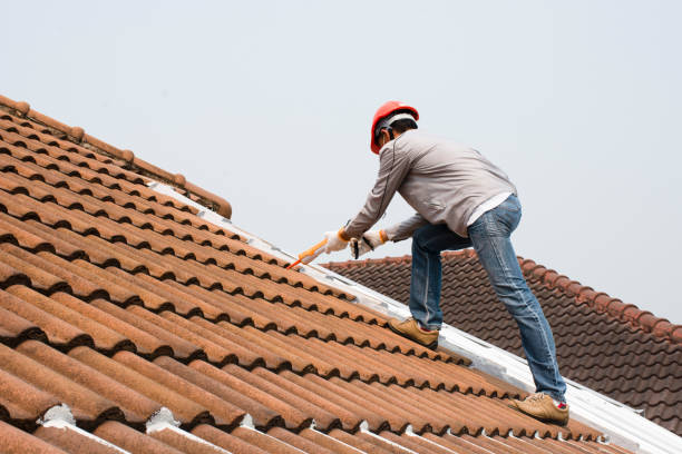 Waterproofing in Dayton, NV